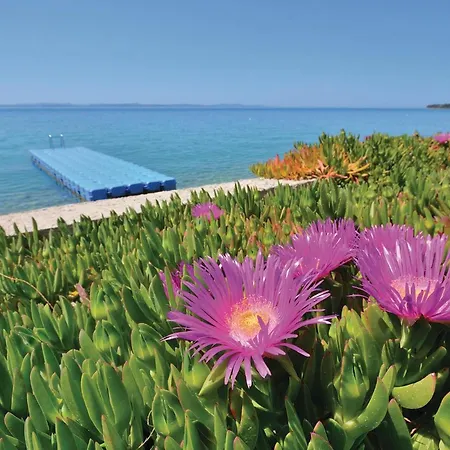 Ul 1920 Bedroom Iv Сasa de vacaciones *